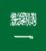 沙特阿拉伯logo