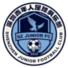 深圳青年人logo