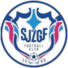 石家庄功夫logo